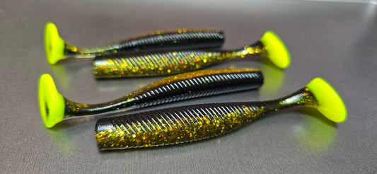 TEXAS ROACH